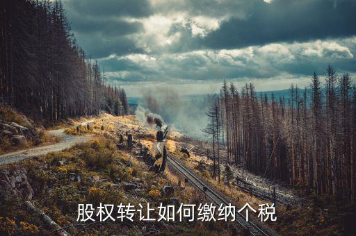 股權(quán)轉(zhuǎn)讓如何交稅，股權(quán)轉(zhuǎn)讓如何繳納個(gè)稅