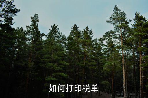 公司稅單如何查詢打印，關(guān)于公司稅單打印問題