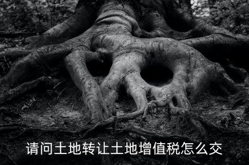 土地增值稅如何繳納，請問土地轉(zhuǎn)讓土地增值稅怎么交