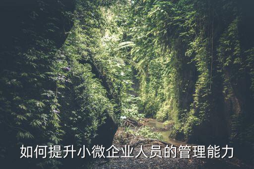 如何加強(qiáng)小型微利企業(yè)管理，如何提升小微企業(yè)人員的管理能力
