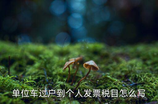 單位車(chē)過(guò)戶到個(gè)人發(fā)票稅目怎么寫(xiě)