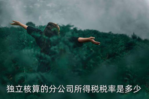 獨(dú)立核算的分公司如何納稅，誰知道獨(dú)立核算的同城分公司如何繳稅