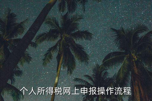 上海個(gè)人所得稅如何申報(bào)，上海企業(yè)如何交個(gè)人所得稅