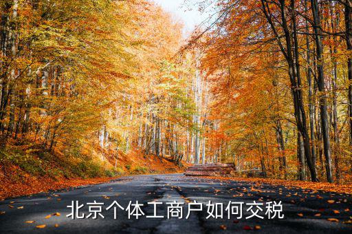 北京個體如何繳稅，北京個體戶怎么交稅