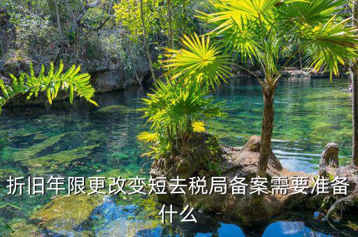 固定資產(chǎn)縮短折舊年限如何備案，折舊年限更改變短去稅局備案需要準備什么