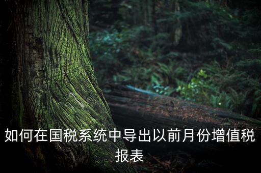 如何導(dǎo)出增值稅申報表，如何在國稅系統(tǒng)中導(dǎo)出以前月份增值稅報表