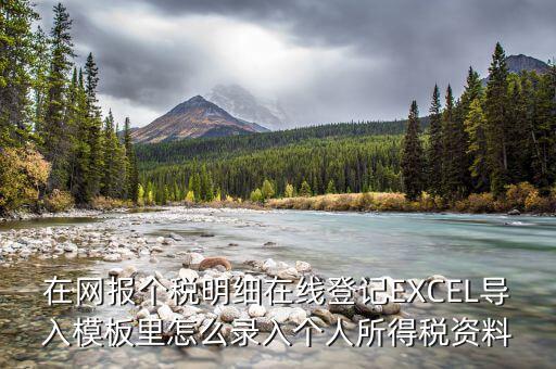 北京個稅明細(xì)申報如何導(dǎo)入，在網(wǎng)報個稅明細(xì)在線登記EXCEL導(dǎo)入模板里怎么錄入個人所得稅資料