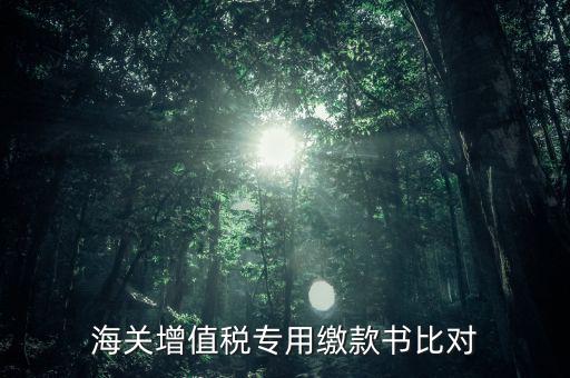 海關(guān)進(jìn)口增值稅專用繳款書(shū)如何比對(duì)，海關(guān)增值稅專用繳款書(shū)比對(duì)