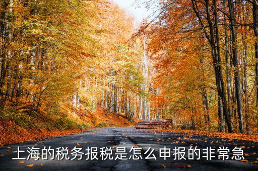 上海市國地稅如何申報(bào)，上海地稅是網(wǎng)上報(bào)稅嗎采取什么方式申報(bào)