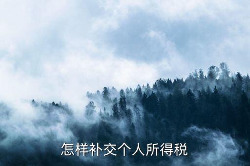 如何補交個人所得稅，如何用個人所得稅扣繳系統(tǒng)補繳稅款