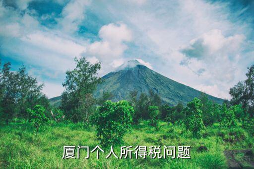 廈門(mén)企業(yè)個(gè)稅如何申報(bào)，廈門(mén)個(gè)人所得稅問(wèn)題