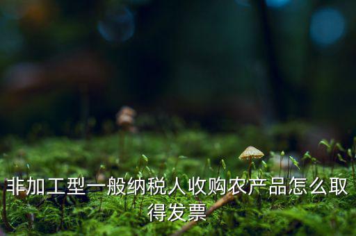 農(nóng)產(chǎn)品收購(gòu)發(fā)票如何，農(nóng)產(chǎn)品收購(gòu)發(fā)票如何開