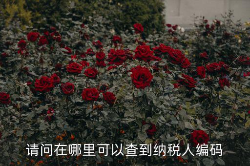 教您如何查詢納稅人代碼，忘記稅務(wù)征收機(jī)關(guān)代碼