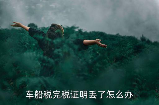 車船稅如何打完稅證明，2016上海開車船稅完稅證明只能到第三稅務(wù)局去開么