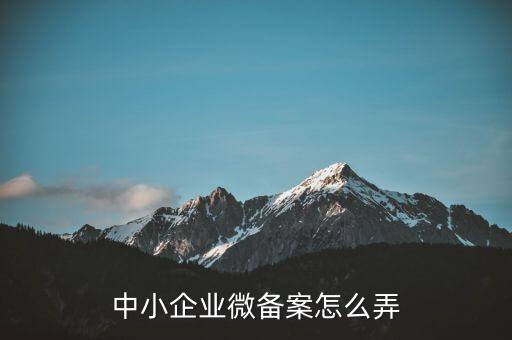 小微企業(yè)備案如何辦理流程，小型微型企業(yè)如何備案去哪辦理