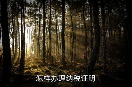 廈門如何做假的納稅證明，怎樣辦理納稅證明