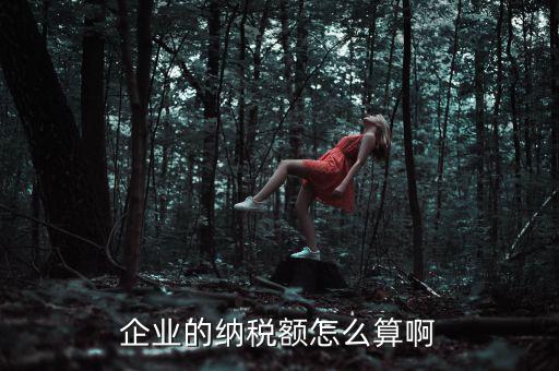 企業(yè)納稅如何計(jì)算，企業(yè)的納稅額怎么算啊