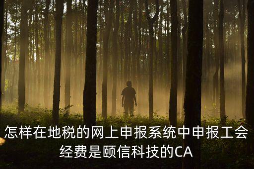 工會(huì)經(jīng)費(fèi)如何網(wǎng)上申報(bào)，怎樣在地稅的網(wǎng)上申報(bào)系統(tǒng)中申報(bào)工會(huì)經(jīng)費(fèi)是頤信科技的CA