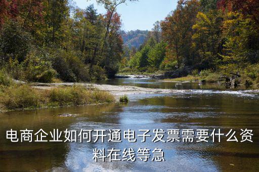 電子發(fā)票如何申領(lǐng)，京東電子發(fā)票如何獲取
