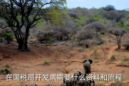 國稅局批票如何辦理，在國稅局開發(fā)票需要什么資料和流程