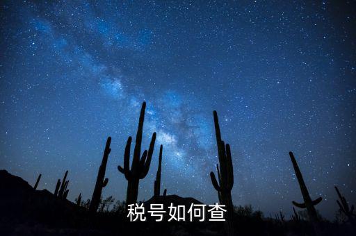 發(fā)票稅號如何查詢系統(tǒng)，開發(fā)票不知道客戶的稅號應(yīng)該怎么查
