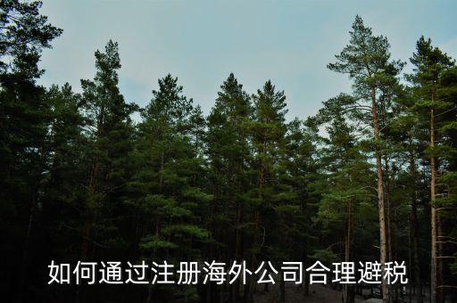 在境外注冊子公司如何避所得稅，離岸公司如何避個稅