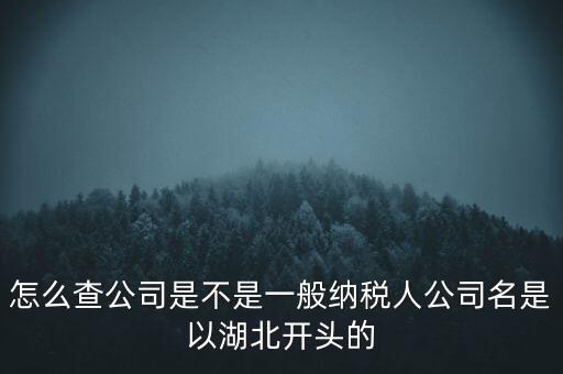 如何查詢企業(yè)是否是一般納稅人，怎么查公司是不是一般納稅人公司名是以湖北開頭的