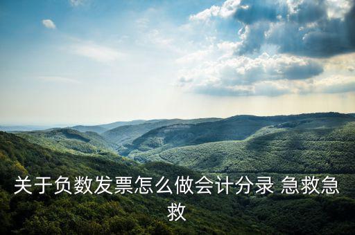 關于負數發(fā)票怎么做會計分錄 急救急救