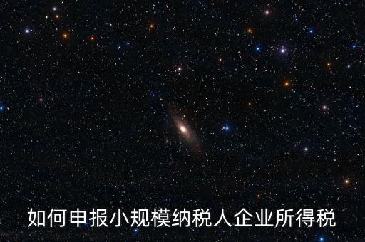 小規(guī)模納稅人如何報(bào)企業(yè)所得稅，如何申報(bào)小規(guī)模納稅人企業(yè)所得稅