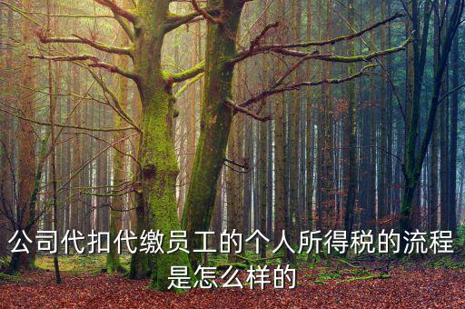 如何代扣代繳個(gè)人所得稅，代扣代繳個(gè)人所得稅