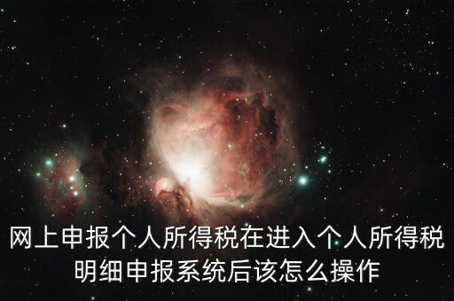 網(wǎng)上申報個人所得稅在進入個人所得稅明細申報系統(tǒng)后該怎么操作