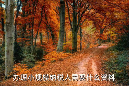 小規(guī)模納稅人如何辦理，小規(guī)模廠如何辦理一般納稅人