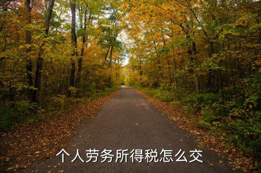 個(gè)人勞務(wù)費(fèi)如何繳稅，勞務(wù)報(bào)酬所得怎么繳納個(gè)人所得稅
