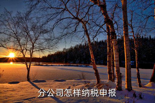如何申報分公司所得稅，分公司的所得稅怎么報