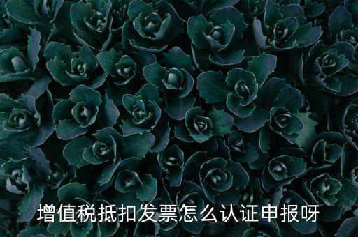 如何認證抵扣發(fā)票，增值稅抵扣發(fā)票怎么認證申報呀
