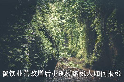 營(yíng)改增后小規(guī)模納稅人如何報(bào)稅，營(yíng)改增后小規(guī)模的怎么報(bào)稅