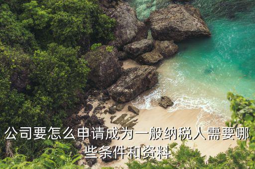 一般納稅人如何辦理，公司要怎么申請成為一般納稅人需要哪些條件和資料