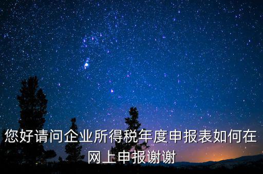 公司如何網(wǎng)絡(luò)申報(bào)表，新手請(qǐng)教企業(yè)所得稅年度納稅申報(bào)表在網(wǎng)上如何申報(bào)