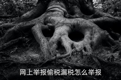 如何網(wǎng)上稅務(wù)舉報，網(wǎng)上舉報偷稅漏稅怎么舉報