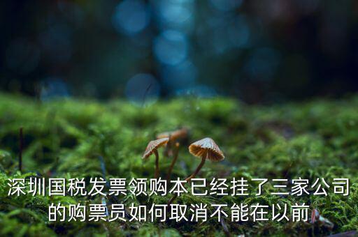 如何取消稅務(wù)局購票人，國稅如何刪除購票人