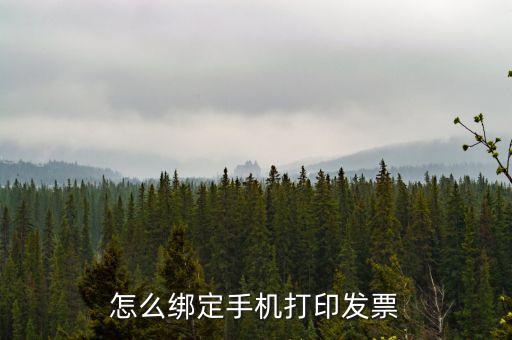 百旺電子發(fā)票如何綁定終端，尚未配備電子發(fā)票終端怎么處理
