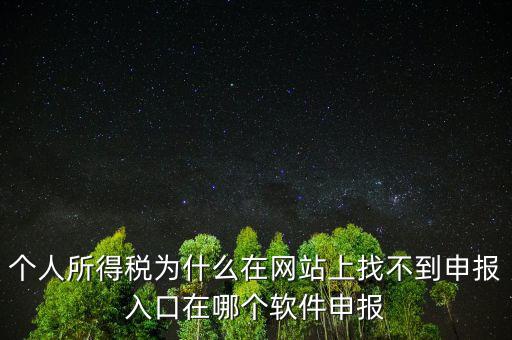 自然人如何申報，請問小規(guī)模個人所得稅在哪里申報怎么申報呢