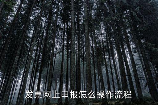 如何國(guó)稅局網(wǎng)上申請(qǐng)開票，如何登錄稅務(wù)網(wǎng)上開票