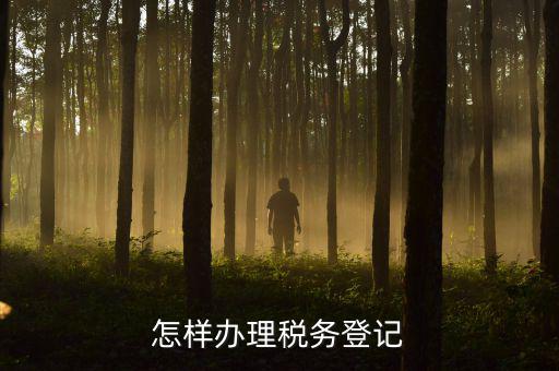 電子國(guó)稅如何稅務(wù)登記，如何進(jìn)行電子報(bào)稅的稅務(wù)登記
