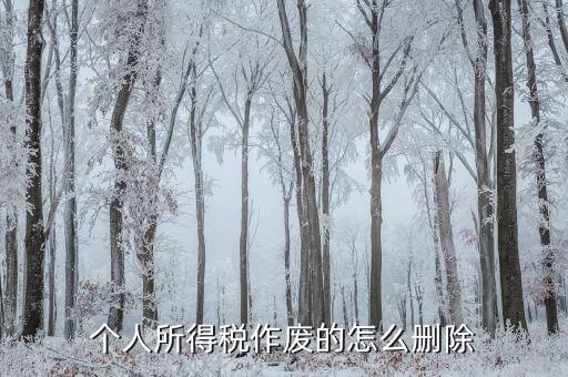 如何刪除已審核的地稅報(bào)表，已遞上的地稅網(wǎng)上財(cái)務(wù)報(bào)表系統(tǒng)的報(bào)表能否刪除
