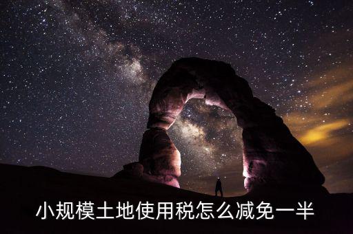 城鎮(zhèn)土地使用稅如何減免，小規(guī)模土地使用稅怎么減免一半