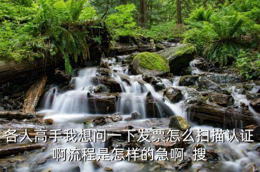 如何使用掃描儀認證發(fā)票嗎，各人高手我想問一下發(fā)票怎么掃描認證啊流程是怎樣的急啊  搜