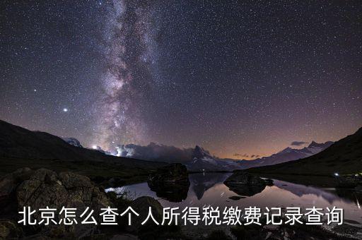 北京怎么查個(gè)人所得稅繳費(fèi)記錄查詢(xún)
