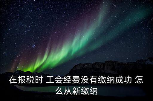 如何補(bǔ)繳工會(huì)經(jīng)費(fèi)，在報(bào)稅時(shí) 工會(huì)經(jīng)費(fèi)沒(méi)有繳納成功 怎么從新繳納