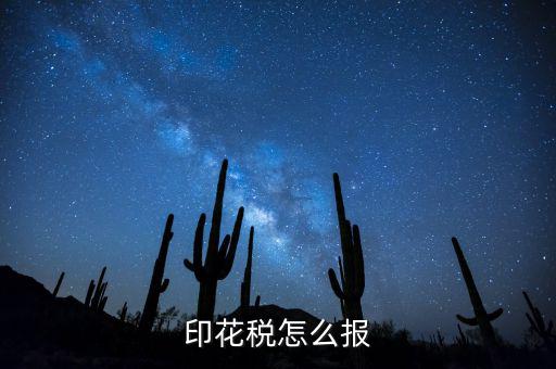如何國稅申報印花稅，印花稅怎么報